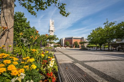 Blumen im Vordergrund Stadt Waldkraiburg im Hintergrund, &copy; Inn-Salzach Tourismus