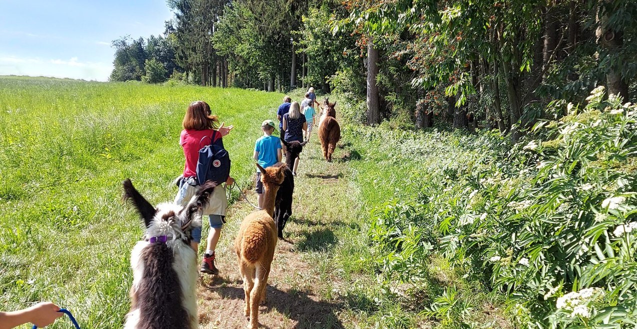 Alpakawanderung Winklhof, © Winklhof