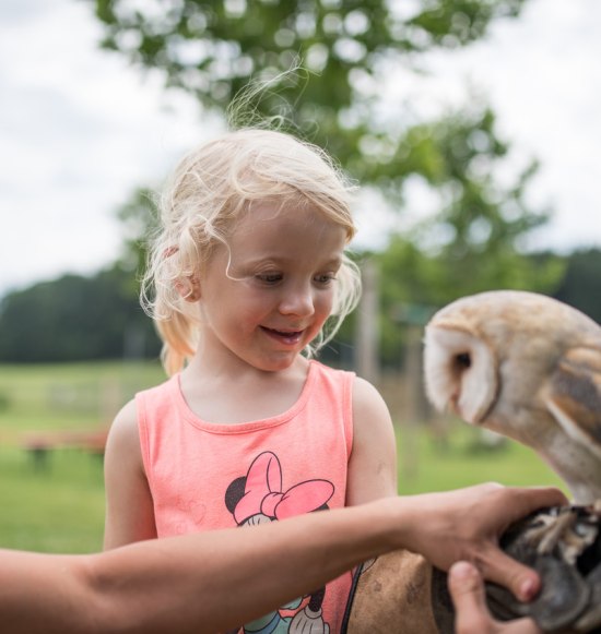 Zu Besuch in der Falknershow des Wildfreizeitparks Oberreith, &copy; Inn-Salzach Tourismus