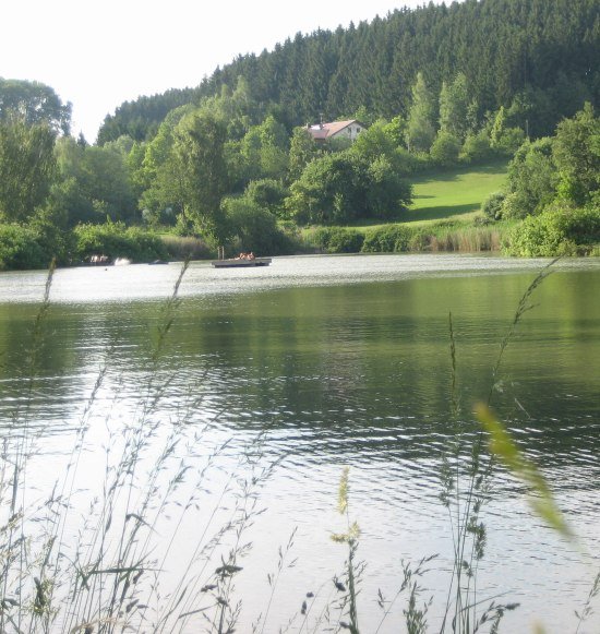 Erlensee im Sommer, &copy; Loanerland