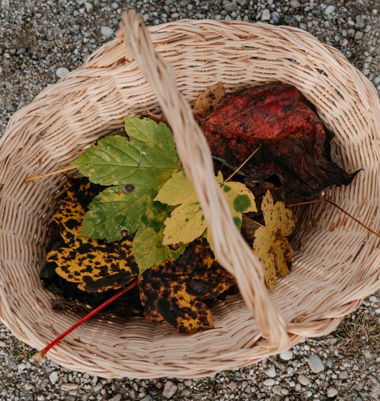 Herbstmarkt in Neu&ouml;tting, &copy; Tourismusverband Inn-Salzach