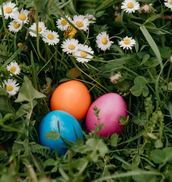 Eier im Gras, &copy; Inn-Salzach Tourismus