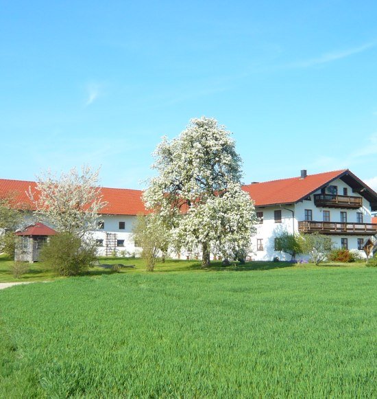 Katalog2014-2015, Kdnr.45142