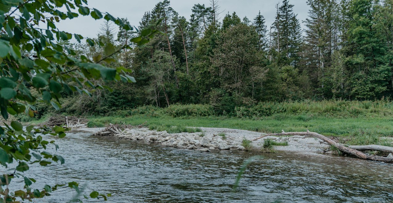 Liegewiese an der Alz, © Inn-Salzach Tourismus