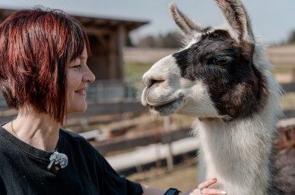 Lama-Oase Sabine Zallinger, &copy; Tourismusverband Inn-Salzach