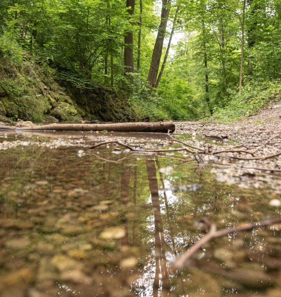 Bachlauf, &copy; Inn-Salzach Tourismus