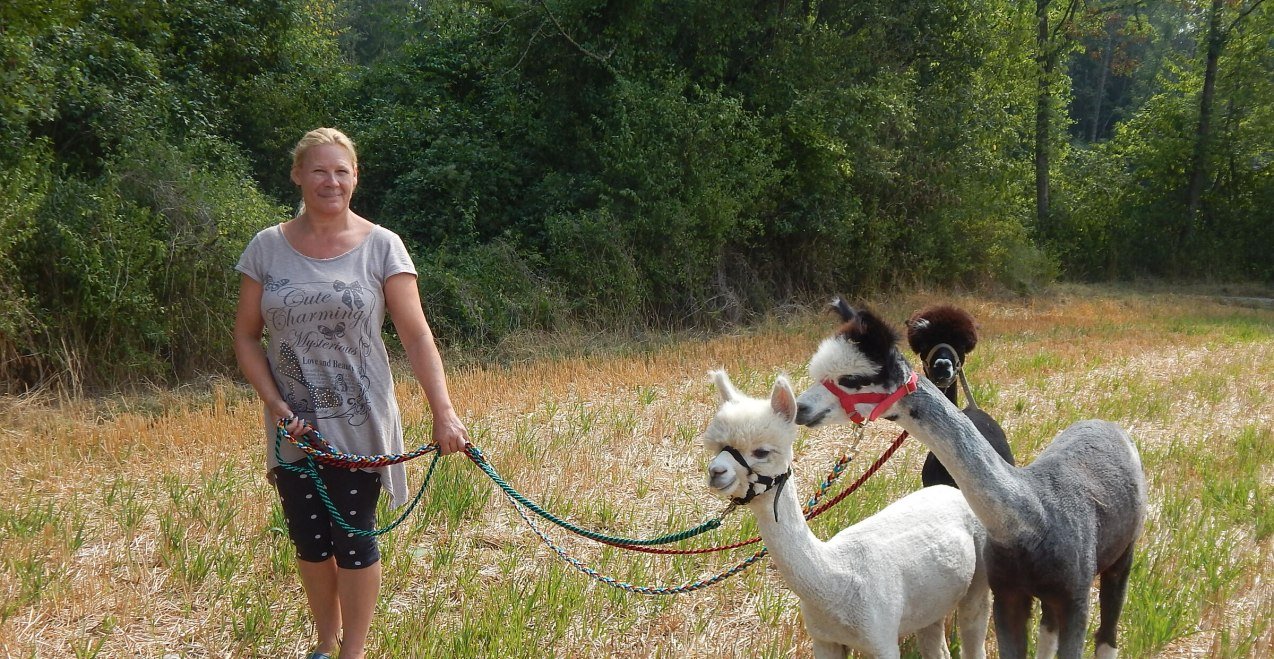 Frau Ammersberger mit drei Alpakas, &copy; Alzsteg Alpakas