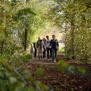 Alpakawanderung bei der Niedergerner Alpaka Ranch, © Inn-Salzach Tourismus