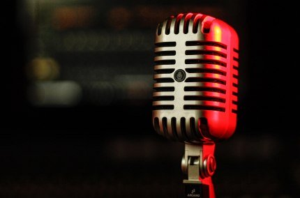 Elvis Dinner Show, © Pixabay