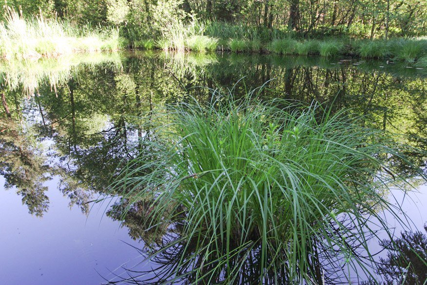 Toteiskessel im Haager Land, © Landratsamt Mühldorf a. Inn