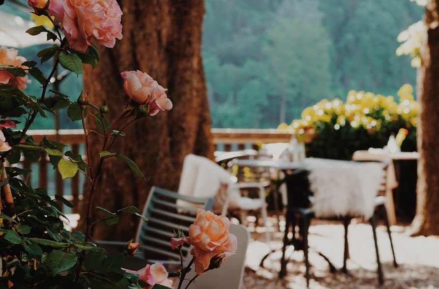 Altstadtcafé_Gastgarten_1, © Altstadtcafé