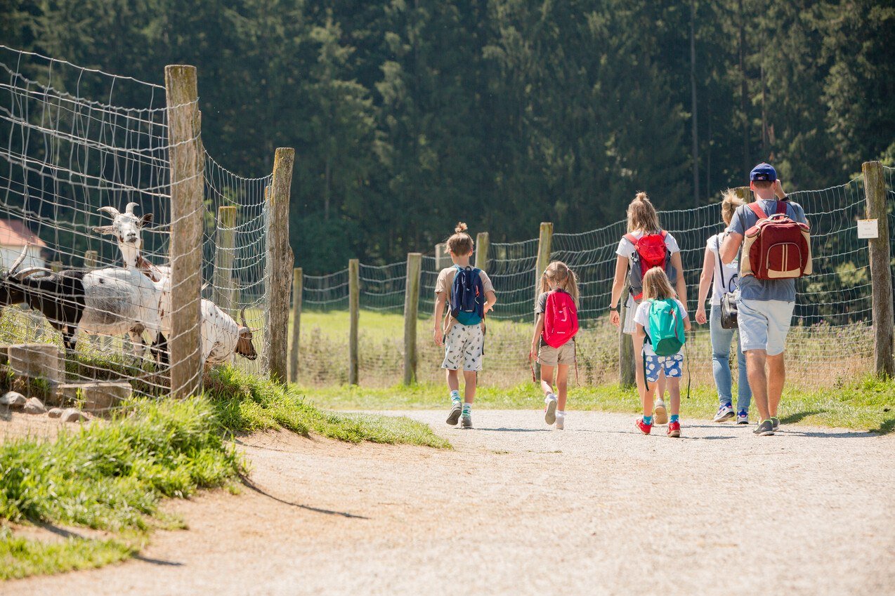 Familienausflug im Wildfreizeitpark Oberreith, © Inn-Salzach Tourismus