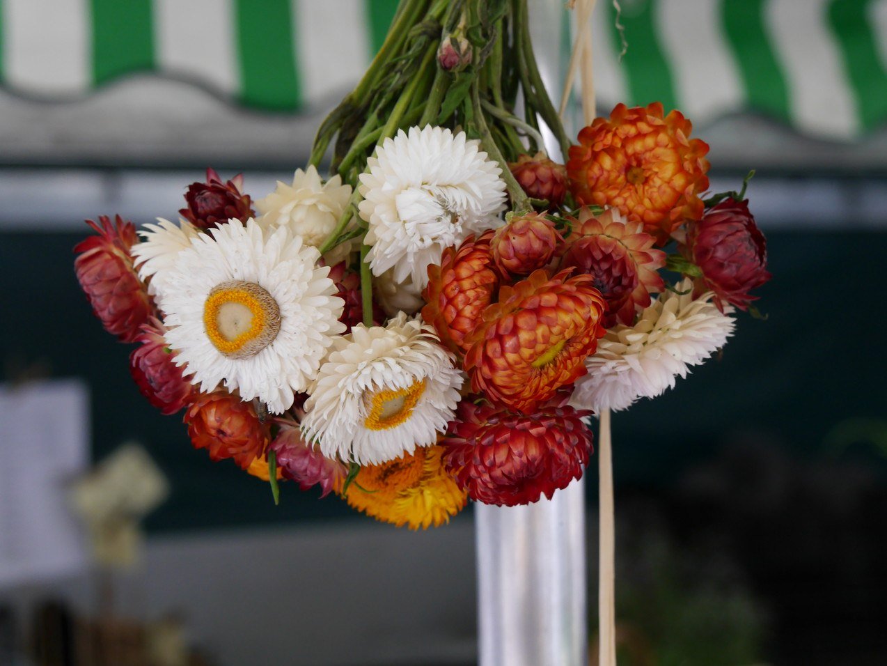 Getrocknete Blumen aus der Region Inn-Salzach, © Inn-Salzach Tourismus