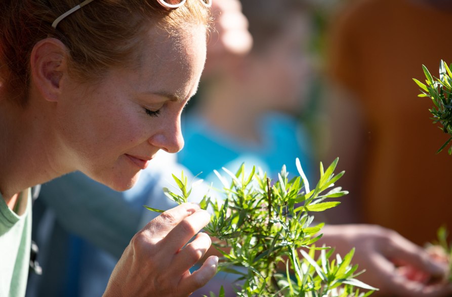 Frau riecht an Kräutern auf dem Biohof Gallenbach, © Inn-Salzach Tourismus