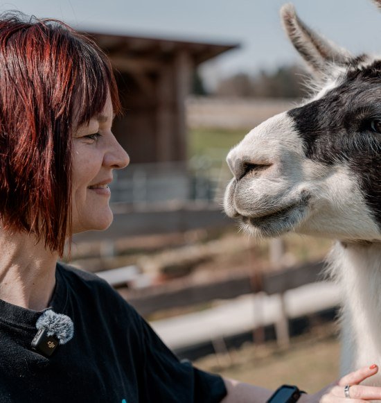 Lama-Oase Sabine Zallinger, &copy; Tourismusverband Inn-Salzach