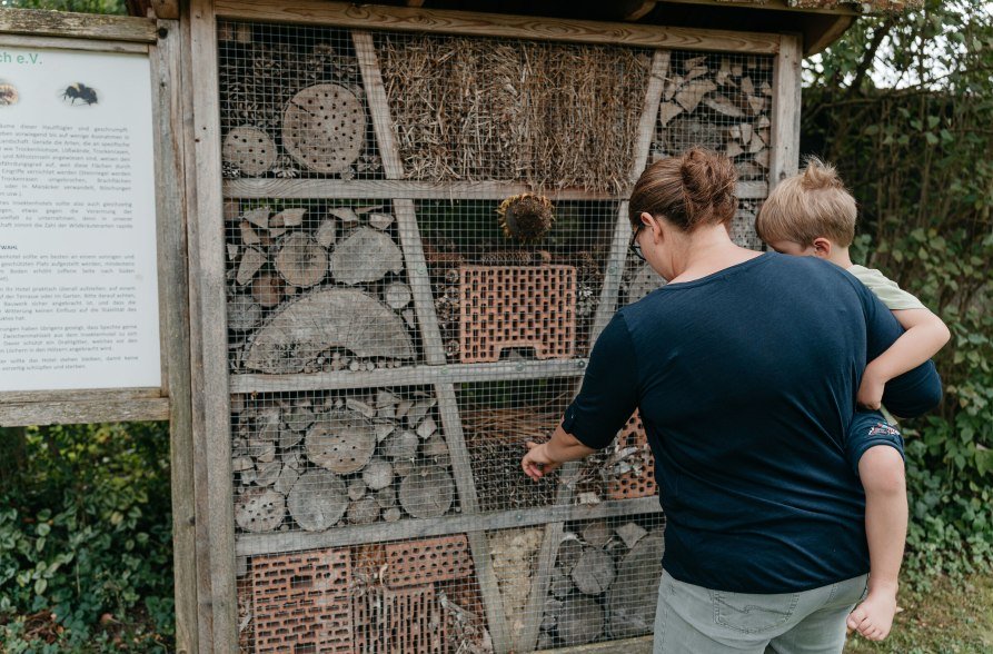 Insektenhotel Freizeitanlage Br&auml;uweiher, &copy; Inn-Salzach Tourismus