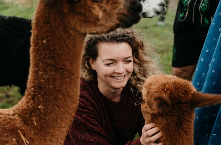 Alpakas streicheln bei der Niedergerner Alpakaranch, &copy; Inn-Salzach Tourismus