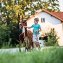 Kind mit Alpaka an der Leine, © Inn-Salzach Tourismus