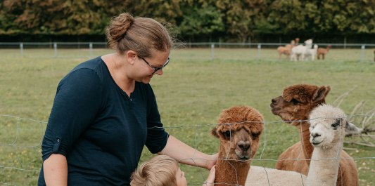 Mama und Kind streicheln Alpakas, &copy; Inn-Salzach Tourismus