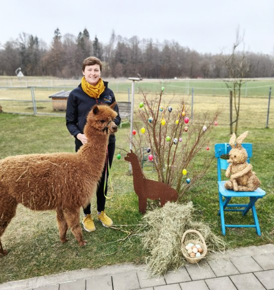 Heuaktion Niedergerner Alpakaranch, &copy; Niedergerner Alpakaranch